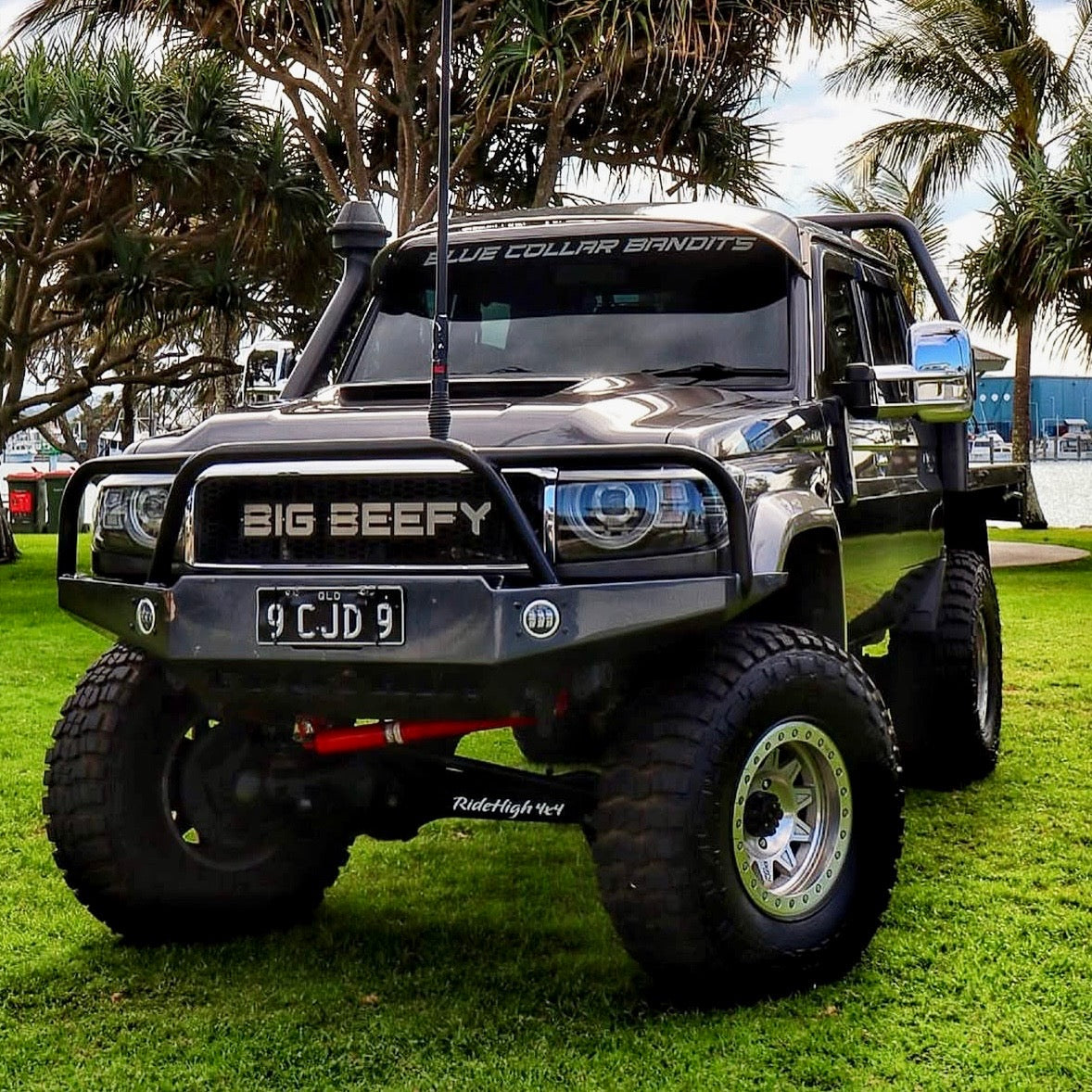 Race Font Window Banner